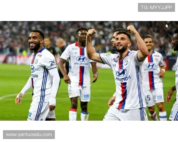 法甲里昂球迷活动的组织与文化建设